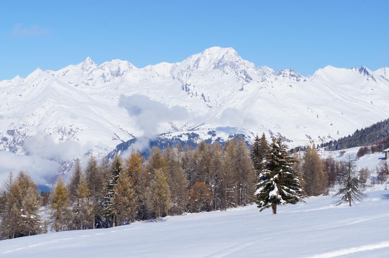 Chalet Les Amis Peisey-Nancroix Esterno foto